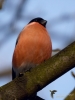 Filename=000386_fotowilga~23.JPG
Filesize=242KB
Dimensions=525x700
Date added=Feb 26, 2018 000386_fotowilga~23.JPG
