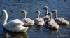 Filename=000394_fotowilga~0.JPG
Filesize=234KB
Dimensions=700x382
Date added=Jul 31, 2021 000394_fotowilga~0.JPG