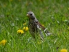 Filename=000399_fotowilga~0.JPG
Filesize=322KB
Dimensions=700x525
Date added=May 11, 2021 000399_fotowilga~0.JPG