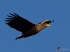 Filename=000399_fotowilga~29.JPG
Filesize=229KB
Dimensions=700x525
Date added=Dec 30, 2019 000399_fotowilga~29.JPG