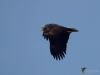 Filename=000405_fotowilga~32.JPG
Filesize=207KB
Dimensions=700x525
Date added=Nov 07, 2019 000405_fotowilga~32.JPG