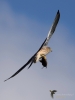 Filename=000408_fotowilga~20.JPG
Filesize=191KB
Dimensions=525x700
Date added=Aug 13, 2018 000408_fotowilga~20.JPG