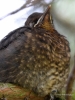 Filename=000418_fotowilga~27.JPG
Filesize=284KB
Dimensions=525x700
Date added=May 25, 2018 000418_fotowilga~27.JPG