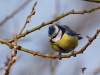 Filename=00042_fotowilga~51.JPG
Filesize=249KB
Dimensions=700x525
Date added=Jan 06, 2019 00042_fotowilga~51.JPG