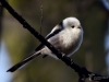Filename=000437_fotowilga~13.JPG
Filesize=249KB
Dimensions=700x525
Date added=Oct 12, 2018 000437_fotowilga~13.JPG