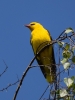 Filename=00046_fotowilga~60.JPG
Filesize=234KB
Dimensions=525x700
Date added=May 28, 2019 00046_fotowilga~60.JPG