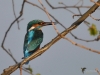 Filename=00052_fotowilga~63.JPG
Filesize=232KB
Dimensions=700x525
Date added=Oct 29, 2019 00052_fotowilga~63.JPG