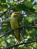 Filename=000531_fotowilga~15.JPG
Filesize=307KB
Dimensions=525x700
Date added=Jun 16, 2019 000531_fotowilga~15.JPG
