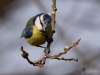 Filename=00053_fotowilga.JPG
Filesize=222KB
Dimensions=700x525
Date added=Jul 22, 2019 00053_fotowilga.JPG