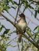 Filename=00054_fotowilga~0.JPG
Filesize=272KB
Dimensions=537x700
Date added=Jun 29, 2021 00054_fotowilga~0.JPG