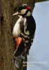 Filename=000554_fotowilga~6.JPG
Filesize=85KB
Dimensions=343x480
Date added=Feb 07, 2017 000554_fotowilga~6.JPG