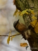 Filename=000569_fotowilga~13.JPG
Filesize=250KB
Dimensions=525x700
Date added=Feb 13, 2018 000569_fotowilga~13.JPG
