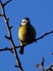 Filename=00056_fotowilga~37.JPG
Filesize=206KB
Dimensions=525x700
Date added=Mar 03, 2018 00056_fotowilga~37.JPG