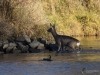 Filename=000571_fotowilga~21.JPG
Filesize=387KB
Dimensions=700x525
Date added=May 17, 2019 000571_fotowilga~21.JPG