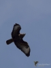 Filename=00061_fotowilga~62.JPG
Filesize=166KB
Dimensions=525x700
Date added=Jun 30, 2019 00061_fotowilga~62.JPG