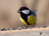 Filename=000626_fotowilga~14.JPG
Filesize=215KB
Dimensions=700x525
Date added=Jan 06, 2019 000626_fotowilga~14.JPG