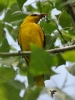 Filename=000638_fotowilga~11.JPG
Filesize=240KB
Dimensions=525x700
Date added=Jul 30, 2017 000638_fotowilga~11.JPG