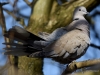 Filename=00065_fotowilga~49.JPG
Filesize=237KB
Dimensions=700x525
Date added=Jul 29, 2018 00065_fotowilga~49.JPG