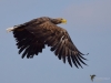 Filename=000686_fotowilga~7.JPG
Filesize=209KB
Dimensions=700x525
Date added=Mar 01, 2018 000686_fotowilga~7.JPG