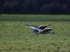 Filename=000700_fotowilga~11.JPG
Filesize=284KB
Dimensions=700x525
Date added=Dec 07, 2019 000700_fotowilga~11.JPG