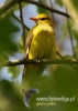 Filename=000707_fotowilga~5.JPG
Filesize=71KB
Dimensions=343x480
Date added=Apr 24, 2016 000707_fotowilga~5.JPG