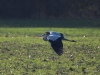 Filename=000709_fotowilga~6.JPG
Filesize=325KB
Dimensions=700x525
Date added=Dec 07, 2019 000709_fotowilga~6.JPG