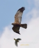 Filename=00070_fotowilga~37.JPG
Filesize=37KB
Dimensions=384x480
Date added=Jul 30, 2016 00070_fotowilga~37.JPG