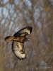 Filename=00074_fotowilga~58.JPG
Filesize=271KB
Dimensions=525x700
Date added=Feb 09, 2019 00074_fotowilga~58.JPG