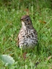 Filename=00076_fotowilga~39.JPG
Filesize=337KB
Dimensions=525x700
Date added=Sep 08, 2017 00076_fotowilga~39.JPG