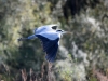 Filename=0007_fotowilga.JPG
Filesize=260KB
Dimensions=700x525
Date added=Nov 01, 2019 0007_fotowilga.JPG