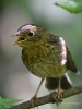 Filename=00089_fotowilga~60.JPG
Filesize=285KB
Dimensions=525x700
Date added=Aug 02, 2019 00089_fotowilga~60.JPG