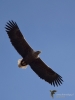 Filename=00090_fotowilga.JPG
Filesize=202KB
Dimensions=525x700
Date added=Mar 28, 2019 00090_fotowilga.JPG