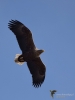 Filename=00091_fotowilga~63.JPG
Filesize=201KB
Dimensions=525x700
Date added=Mar 28, 2019 00091_fotowilga~63.JPG