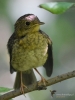 Filename=00092_fotowilga~63.JPG
Filesize=268KB
Dimensions=525x700
Date added=Aug 02, 2019 00092_fotowilga~63.JPG