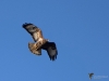 Filename=000934_fotowilga~1.JPG
Filesize=190KB
Dimensions=700x525
Date added=Oct 28, 2019 000934_fotowilga~1.JPG