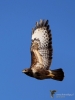 Filename=00093_fotowilga~53.JPG
Filesize=227KB
Dimensions=525x700
Date added=Feb 21, 2019 00093_fotowilga~53.JPG