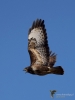 Filename=00095_fotowilga~64.JPG
Filesize=211KB
Dimensions=525x700
Date added=Feb 21, 2019 00095_fotowilga~64.JPG