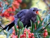 Filename=00097_fotowilga~71.JPG
Filesize=334KB
Dimensions=700x525
Date added=Oct 04, 2019 00097_fotowilga~71.JPG