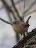 Filename=00099_fotowilga~55.JPG
Filesize=254KB
Dimensions=525x700
Date added=Dec 16, 2018 00099_fotowilga~55.JPG