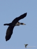 Filename=0009_fotowilga~55.JPG
Filesize=177KB
Dimensions=525x700
Date added=Feb 22, 2019 0009_fotowilga~55.JPG