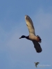 Filename=00105_fotowilga~66.JPG
Filesize=168KB
Dimensions=525x700
Date added=Jan 05, 2019 00105_fotowilga~66.JPG