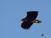 Filename=00107_fotowilga~66.JPG
Filesize=197KB
Dimensions=700x525
Date added=Dec 20, 2019 00107_fotowilga~66.JPG