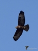 Filename=00108_fotowilga.JPG
Filesize=220KB
Dimensions=525x700
Date added=Jun 26, 2019 00108_fotowilga.JPG