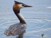 Filename=00111_fotowilga~56.JPG
Filesize=232KB
Dimensions=700x525
Date added=Jun 04, 2018 00111_fotowilga~56.JPG