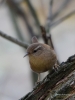 Filename=00112_fotowilga~41.JPG
Filesize=256KB
Dimensions=525x700
Date added=Dec 16, 2018 00112_fotowilga~41.JPG