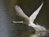 Filename=00112_fotowilga~68.JPG
Filesize=293KB
Dimensions=700x525
Date added=Jun 03, 2019 00112_fotowilga~68.JPG