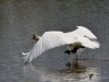 Filename=00114_fotowilga~61.JPG
Filesize=319KB
Dimensions=700x525
Date added=Jun 03, 2019 00114_fotowilga~61.JPG