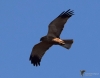 Filename=00116_fotowilga~0.JPG
Filesize=234KB
Dimensions=699x552
Date added=Apr 15, 2021 00116_fotowilga~0.JPG