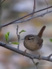 Filename=00119_fotowilga~57.JPG
Filesize=261KB
Dimensions=525x700
Date added=Nov 25, 2018 00119_fotowilga~57.JPG