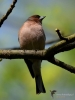 Filename=0011_fotowilga~64.JPG
Filesize=218KB
Dimensions=525x700
Date added=Mar 03, 2019 0011_fotowilga~64.JPG